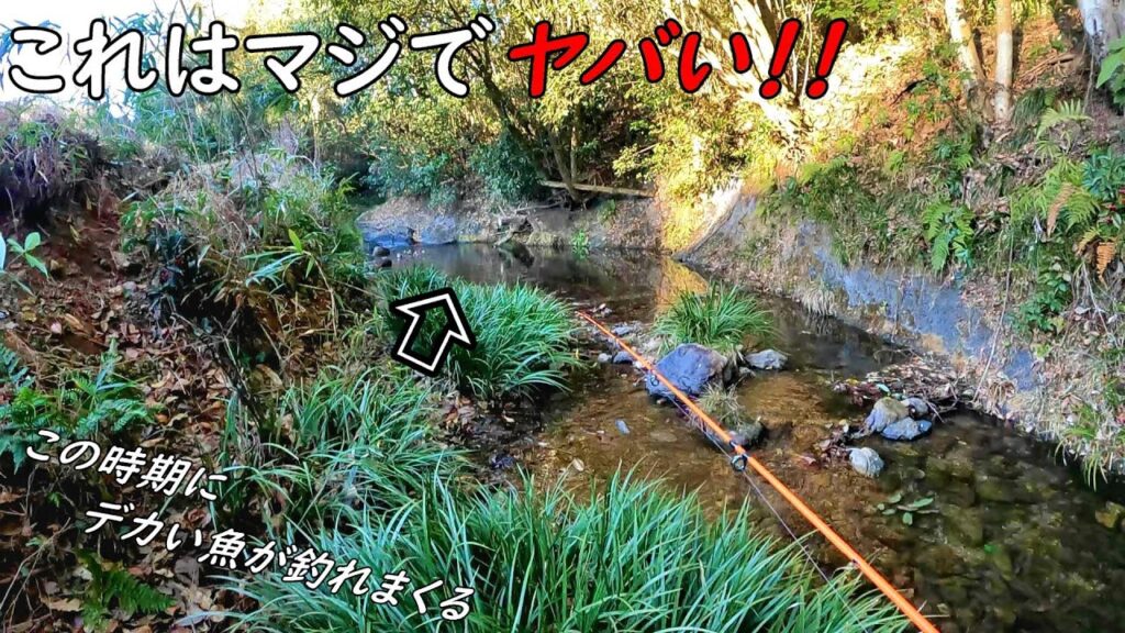 怖い！！釣れて過ぎて怖い！！