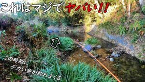 怖い!!釣れて過ぎて怖い!!