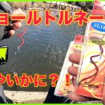 話題のあのルアー”セニョールトルネード”の実力やいかに！【セニョールトルネード】【エリアトラウト】【管理釣り場】【宮城アングラーズヴィレッジ】【セニョルド】