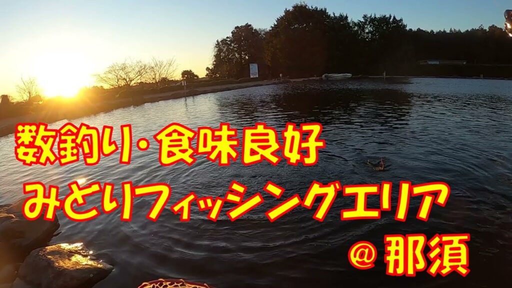 那須方面のトラウト数釣り＆食べて美味しい「みどりフィッシングエリア」