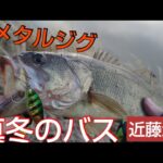 真冬のバス釣り　メタルジグ　　#近藤沼　#バス釣り