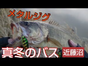 真冬のバス釣り　メタルジグ　　#近藤沼　#バス釣り