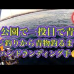 【浜名湖】 海釣り公園 青物 回遊魚 サビキ 餌 アジの釣り方 一投目でワラサ フカシワラサ 浜名湖 新居