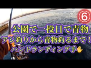 【浜名湖】 海釣り公園 青物 回遊魚 サビキ 餌 アジの釣り方 一投目でワラサ フカシワラサ 浜名湖 新居