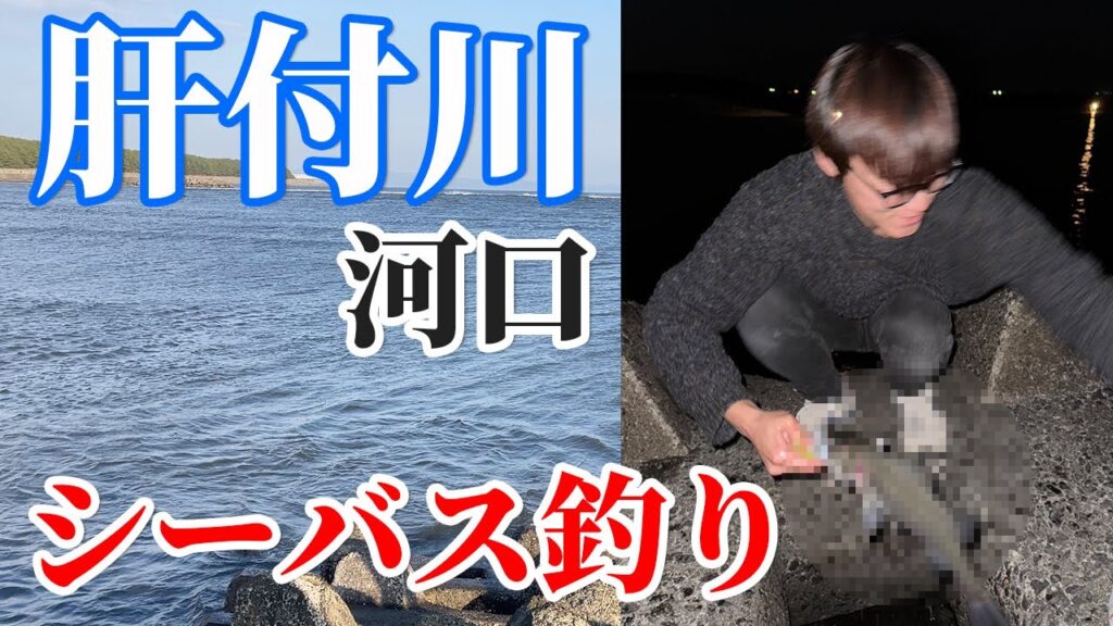【釣り】鹿児島県の肝付川河口でシーバスを狙ったらまさかの結果に…!?【シーバス釣り】