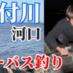 【釣り】鹿児島県の肝付川河口でシーバスを狙ったらまさかの結果に…!?【シーバス釣り】