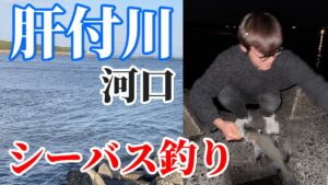 【釣り】鹿児島県の肝付川河口でシーバスを狙ったらまさかの結果に…!?【シーバス釣り】