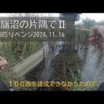 印旛沼で小物釣り１００匹（タナゴも）