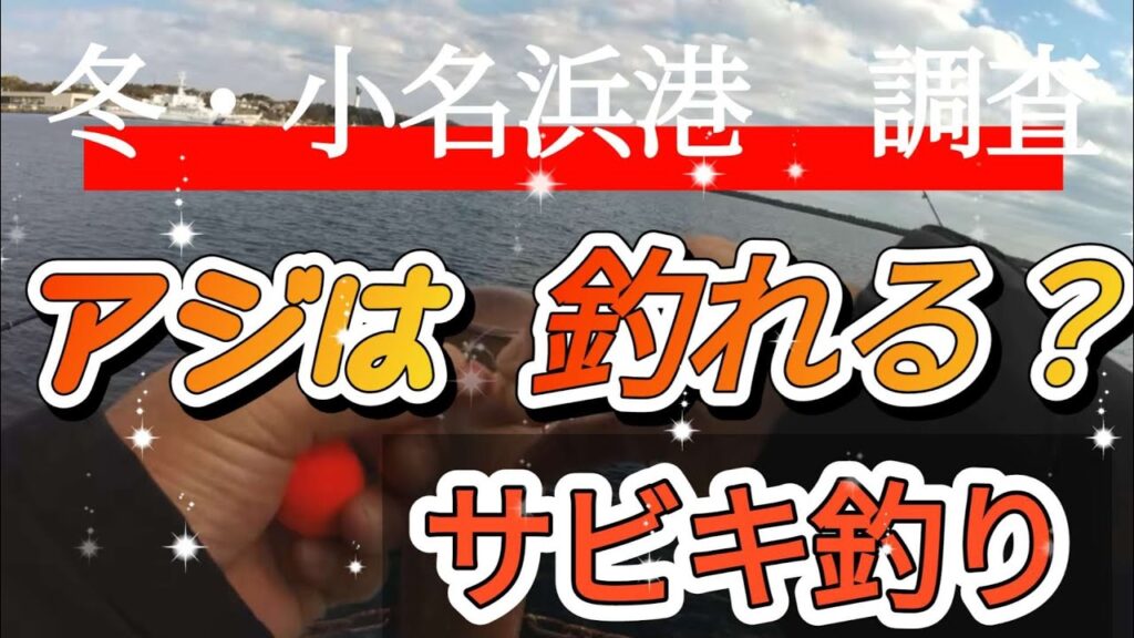 冬の小名浜港でサビキ釣り！アジ！