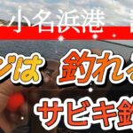 冬の小名浜港でサビキ釣り！アジ！