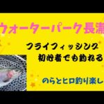 【エリアトラウト】フライ初心者でも大丈夫🎣ウォーターパーク長瀞でニジマス釣りに挑戦‼️