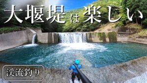 【アマゴ爆釣】大堰堤の奥…未知の領域へ！やっぱり渓流釣りって楽しい！