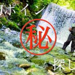 【渓流ルアー釣り】爆釣ポイントの探し方を教えます！！