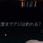 水温が下がった冬の海…アジはまだ釣れるのか？