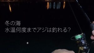 水温が下がった冬の海…アジはまだ釣れるのか？