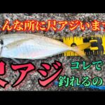 【和歌山】尺アジ釣り🎣ココで尺アジ釣れるの😳コレで尺アジ釣れたの😳✨ビックリ‼️