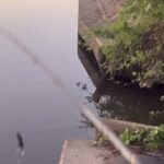 より道【五三川バス釣り】