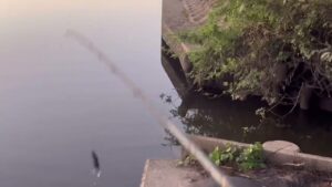 より道【五三川バス釣り】