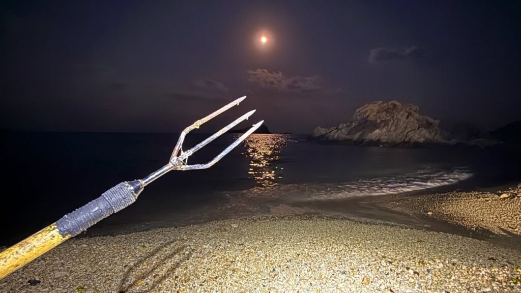 大寒波の夜の海で潮干狩りしたら予想以上の大漁だった