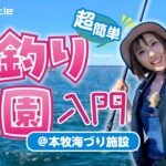 【本牧海づり施設】サビキ！ちょい投げ！ブラクリ！手軽に楽しめて釣れる『海釣り公園』でエンジョイフィッシング！【マルチキャスター】