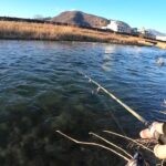 でるか甲斐サーモン！笛吹川冬季釣り場に挑む