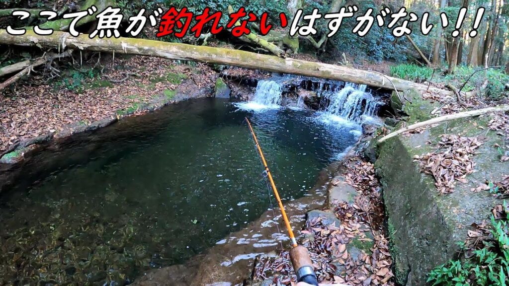 こんな場所絶対釣れるでしょ！！