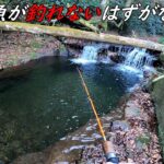 こんな場所絶対釣れるでしょ！！