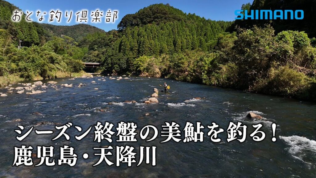 【おとな釣り倶楽部】鹿児島県天降川、シーズンに向けて南国の美鮎で膨らむ夢