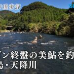 【おとな釣り倶楽部】鹿児島県天降川、シーズンに向けて南国の美鮎で膨らむ夢