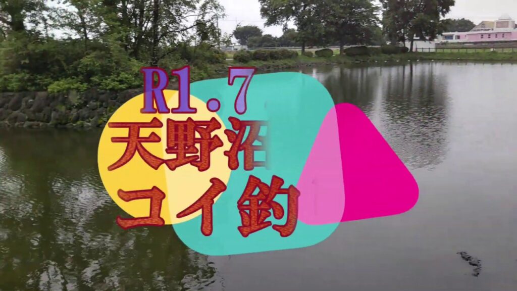 天野沼でコイ釣り！