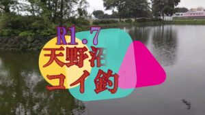 天野沼でコイ釣り！