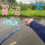 【バス釣り】手賀沼水系【パルステール】