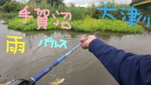 【バス釣り】手賀沼水系【パルステール】
