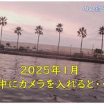 【浜名湖釣り】海釣り公園　水中映像