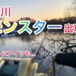 【北海道 湿原河川 ルアー 釣り】釧路川 超メジャーポイントでモンスター出現!?