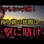 冬の遠州灘サーフで夜と朝の狭間にルアー釣りしたらマジでとんでもない大物が🔥