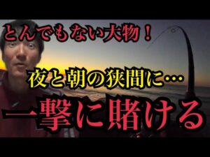 冬の遠州灘サーフで夜と朝の狭間にルアー釣りしたらマジでとんでもない大物が🔥