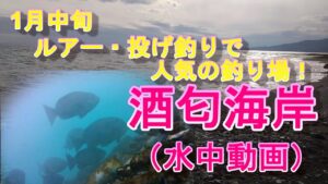 【酒匂海岸水中動画】ルアー・投げ釣りで人気の釣り場!1月中旬水中動画