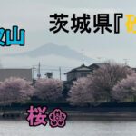 【砂沼】初釣行！！水が入る直前に釣行してみた！！