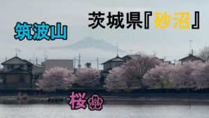 【砂沼】初釣行！！水が入る直前に釣行してみた！！