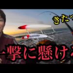 冬の遠州灘サーフへ暗い内から釣りに行く🔥