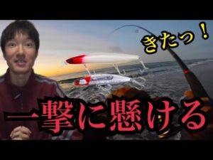 冬の遠州灘サーフへ暗い内から釣りに行く🔥