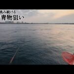 完全ギャンブルみたいな釣りチャレンジ継続してます…いつか釣り上げられるのを信じて…【浜名湖青物狙い】🐟