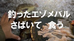 【釣り人飯】北海道の海で釣ったエゾメバルをさばいて食う　#ぶっ込み釣り #夜釣り #魚料理 #北海道の釣り