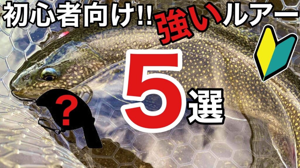 【エリアトラウト】管理釣り場初心者にオススメ！釣れる強いルアー５選！【管釣り　釣り初心者　釣りガール】