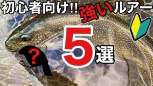 【エリアトラウト】管理釣り場初心者にオススメ！釣れる強いルアー５選！【管釣り　釣り初心者　釣りガール】