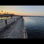 【浜名湖釣り】🎣さっきまで浜名湖海釣り公園で青物狙ってました🐟最速情報📢