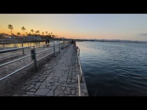 【浜名湖釣り】🎣さっきまで浜名湖海釣り公園で青物狙ってました🐟最速情報📢