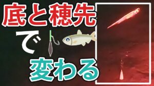 【ワカサギ釣り】底の映像で穂先を選ぶ