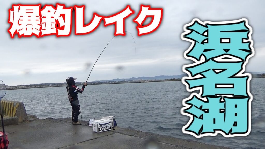 【紀州釣り】爆釣！今シーズン初の激流場で浜名湖黒鯛紀州釣り！【黒鯛釣り】【釣武者】
